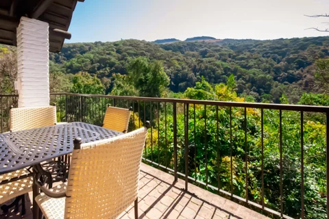 Mount Sheba Cottages